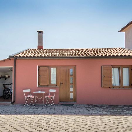 Apartament Alek Novigrad  Zewnętrze zdjęcie