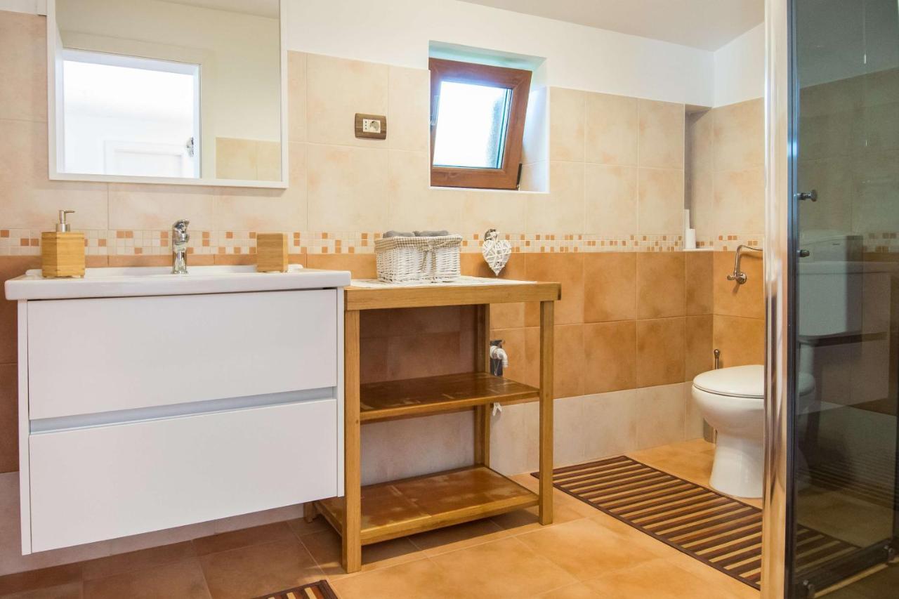 Apartament Alek Novigrad  Zewnętrze zdjęcie