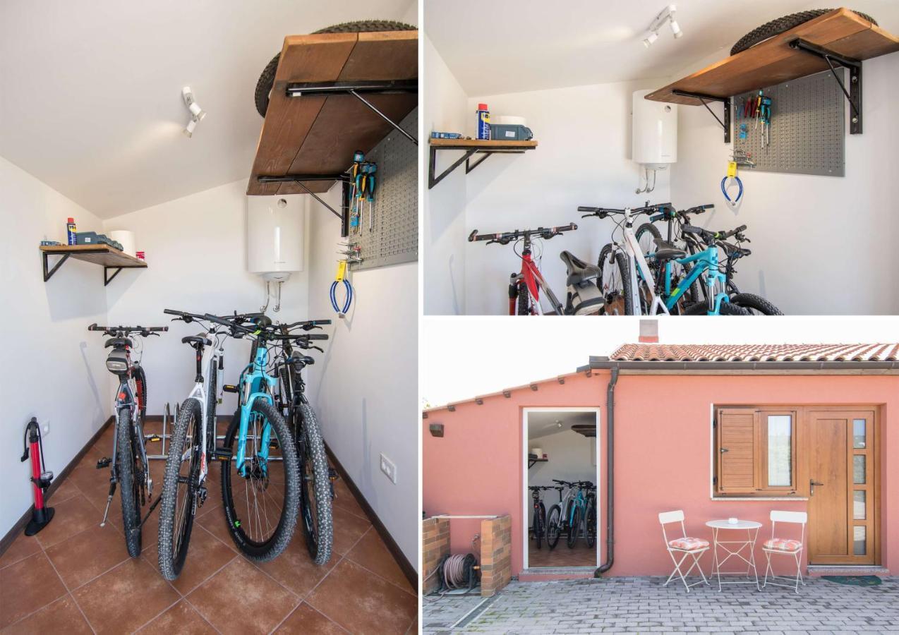 Apartament Alek Novigrad  Zewnętrze zdjęcie