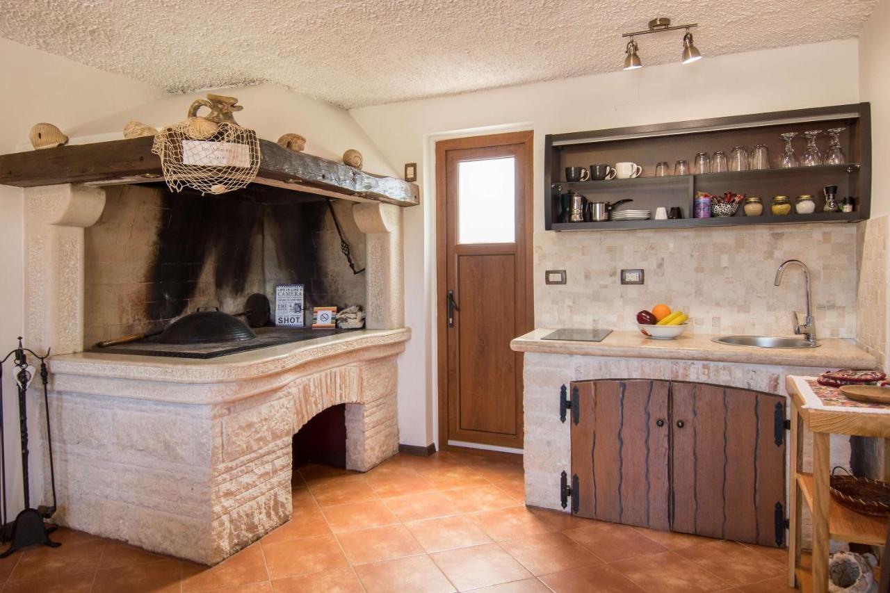 Apartament Alek Novigrad  Zewnętrze zdjęcie