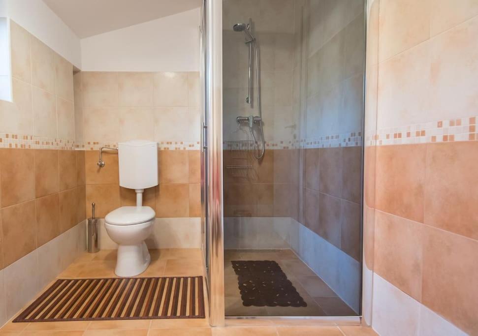 Apartament Alek Novigrad  Zewnętrze zdjęcie