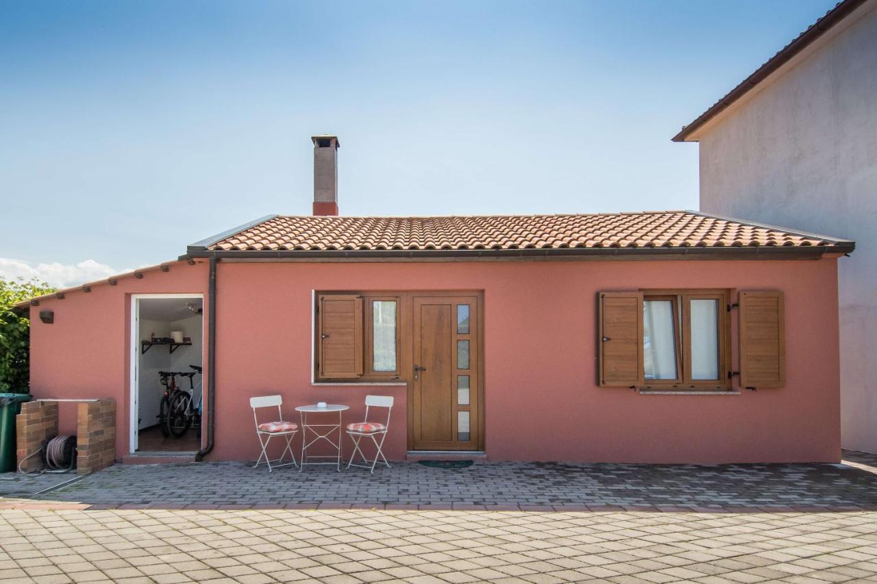 Apartament Alek Novigrad  Zewnętrze zdjęcie