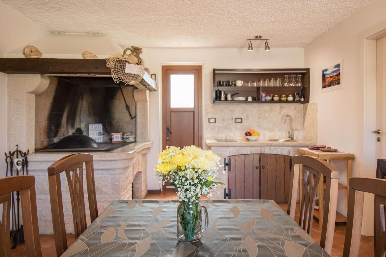Apartament Alek Novigrad  Zewnętrze zdjęcie